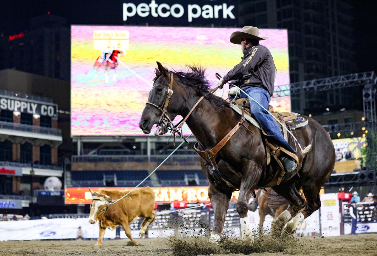 Rhen Richardson ropes a steer during the San Diego Rodeo at Petco Park