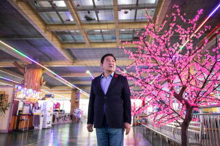 A man in a dark jacket stands next to a tree with pink blossoms indoors