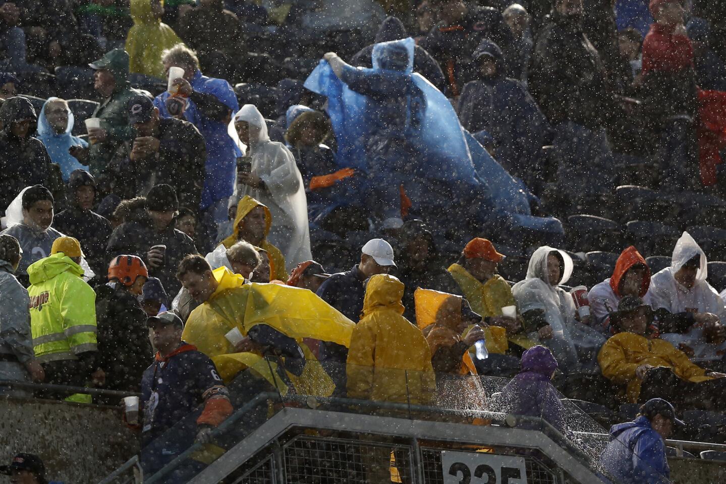 Bears fans evacuate the stadium bowl during a suspension of play.