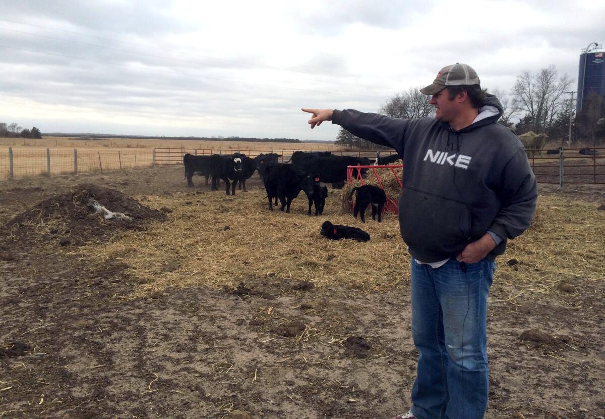 Jim Tarnick stands on his property in Fullerton, Neb., where cash offers have skyrocketed for landowners willing to allow the Keystone XL pipeline onto their property.