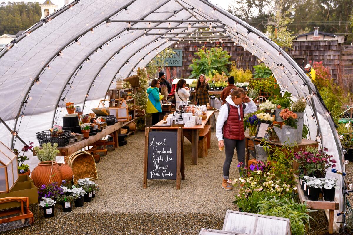 People look at plants inside a open covered space.
