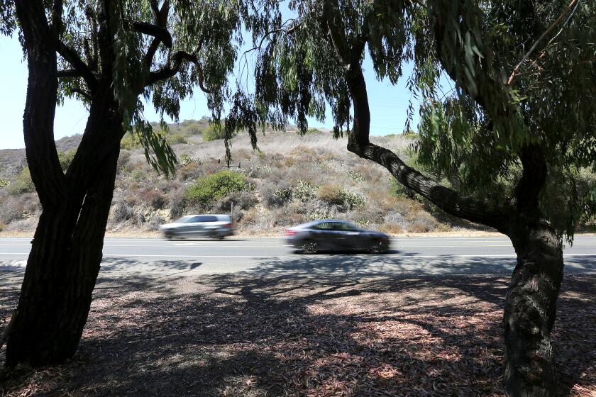 A fatal traffic accident occurred on Laguna Canyon Road just past Laguna College of Art and Design on Saturday. The accident killed Stefano Albano, 55 of Corona. The driver of the vehicle that killed him was arrested on suspicion of DUI.