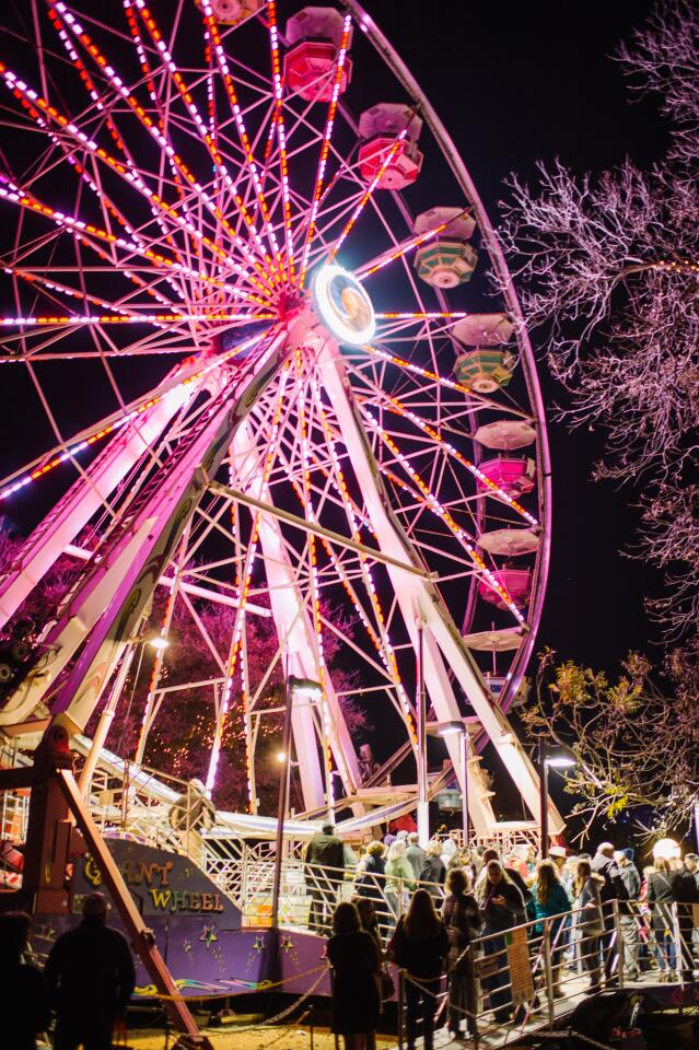 Visitors wait in line for the Ferris wheel at Austin Trail of Lights in Texas.
