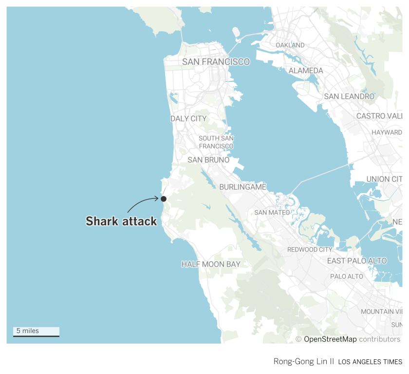 Great White Shark Bites Man Off California Coast Los Angeles Times