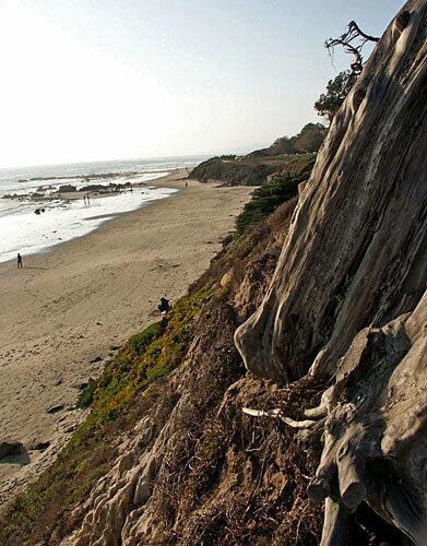 Just 12 miles down the coast from fashionable Santa Barbara, which touts itself as the American Riviera, lies a more humble haven. Carpinteria State Beach may be the ultimate picnic spot for smog-weary Angelenos.