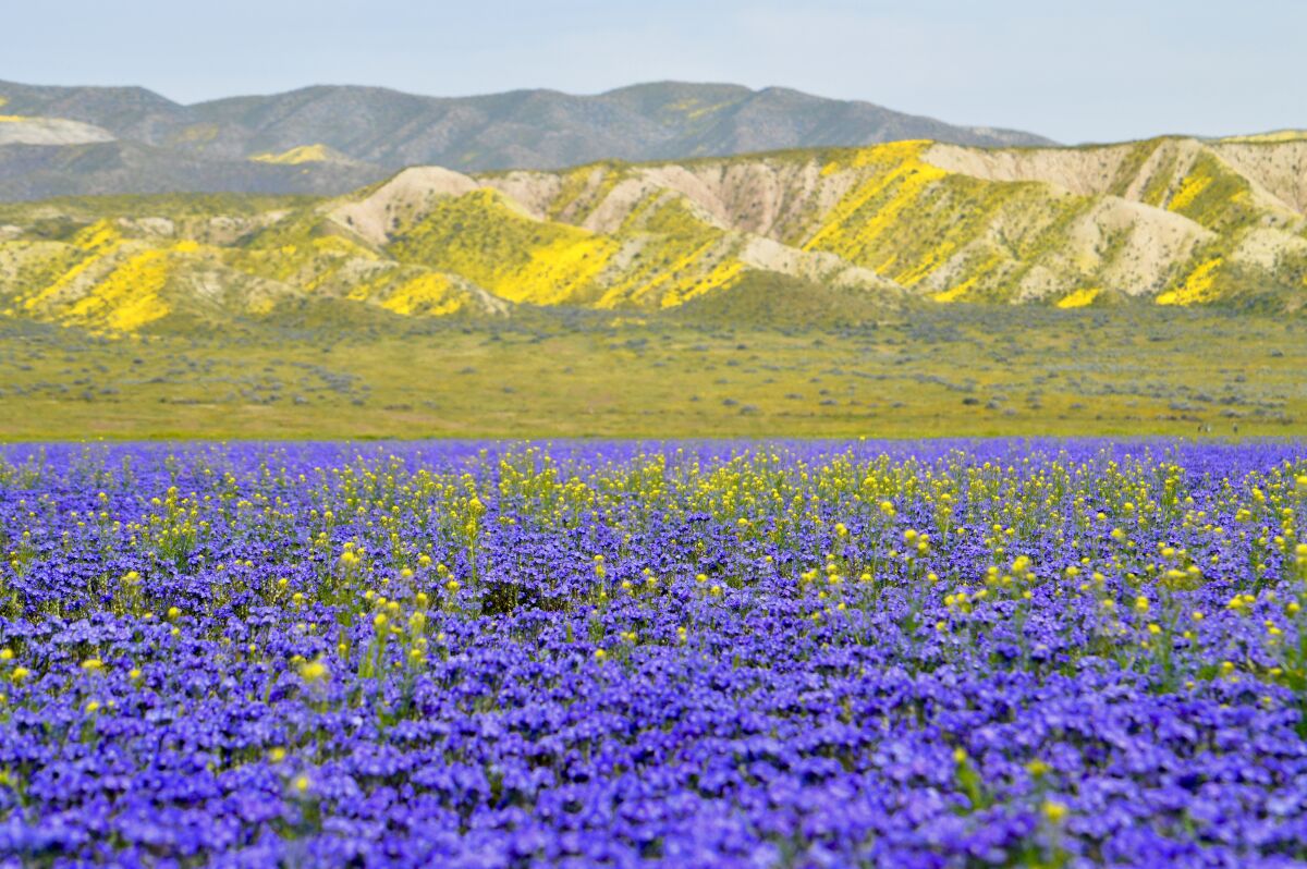 The proposed Temblor Mountain wilderness area within Carrizo Plain National Monument.
