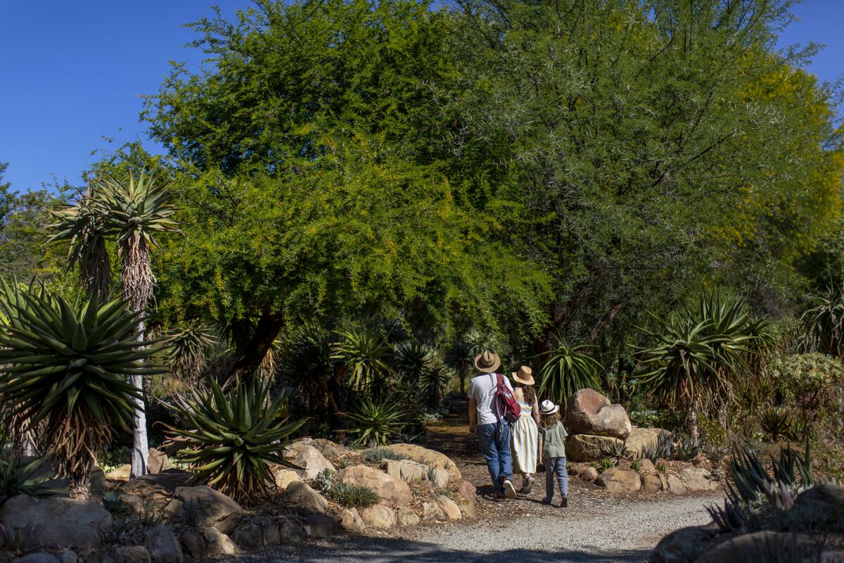 Visitors explore the grounds of Taft Gardens & Nature Preserve.
