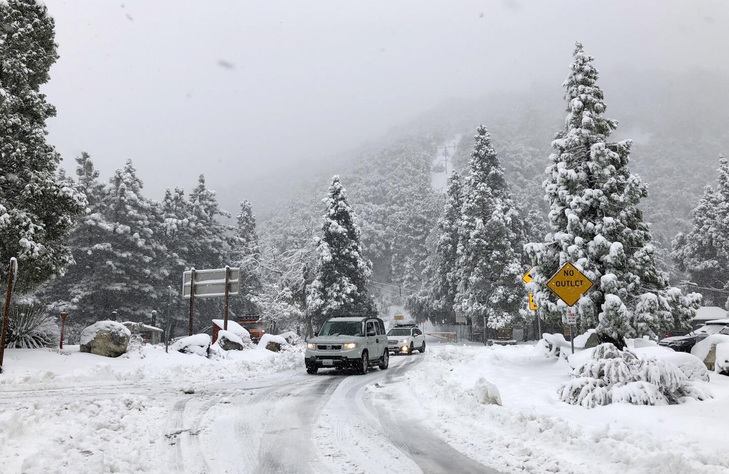 Angeles National Forest