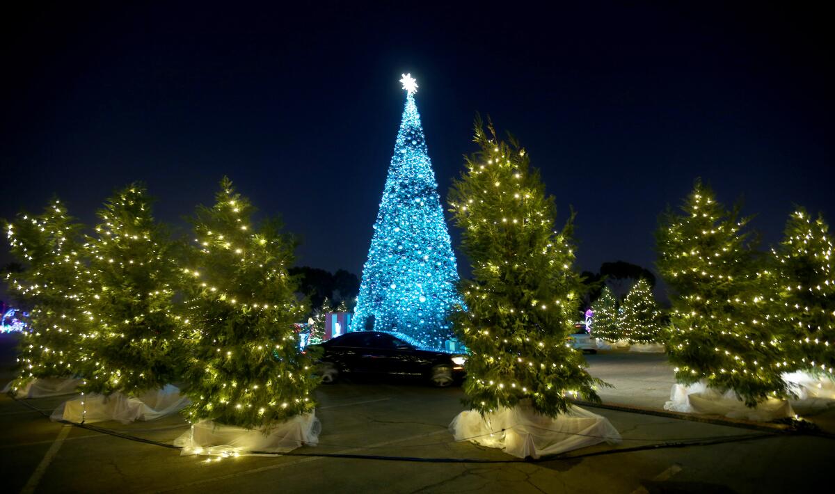 Vehicles circle around a 50-foot Christmas tree during the Night of Lights OC event.