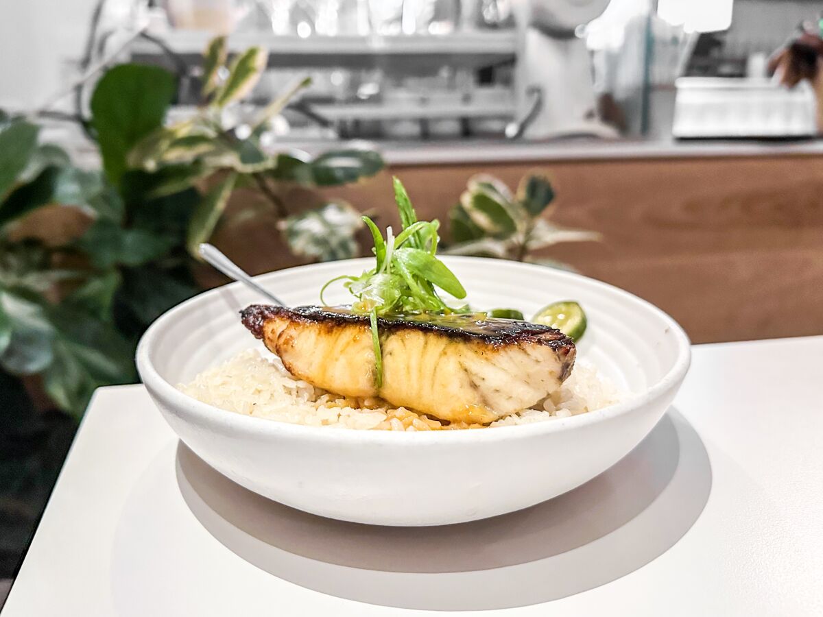 A seared cut of fish sits atop rice in a bowl