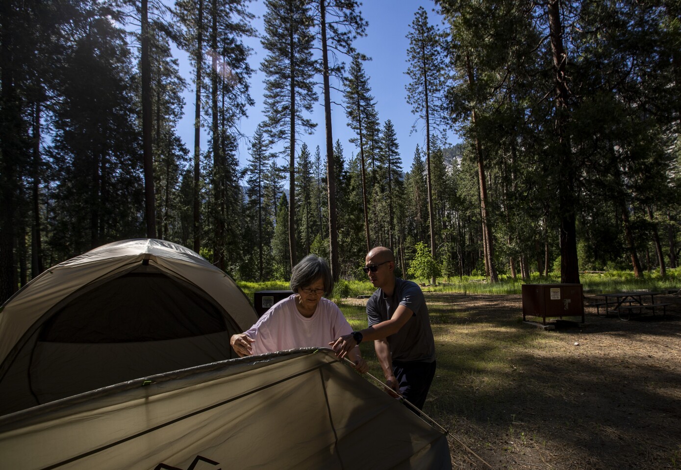 YOSEMITE NATIONAL PARK, CA - JUNE 11: Gary Lin and mom May Lin set up their tent in Upper Pines, where less than a dozen campsites among 240 sites were occupied in Yosemite Valley, open for the first time in 2½ months after closing because of the coronavirus on Thursday, June 11, 2020 in Yosemite National Park, CA. (Brian van der Brug / Los Angeles Times)