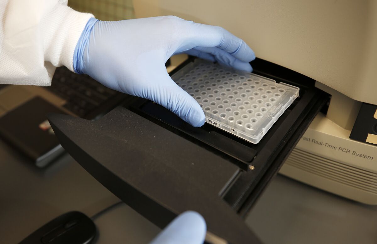 A Polymerase chain reaction kit used for COVID-19 detection is prepared at the UCLA Health lab.