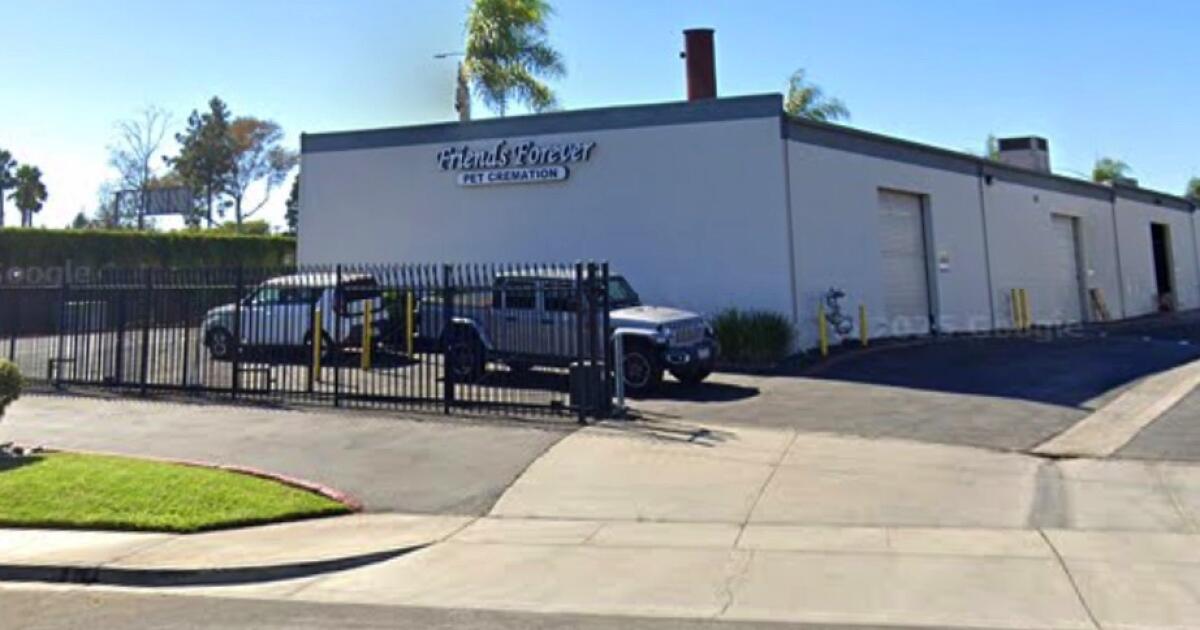 Pet house owners discover “grisly” scene inside San Marcos pet crematory. Proprietor arrested Pet house owners discover “grisly” scene inside San Marcos pet crematory. Proprietor arrested