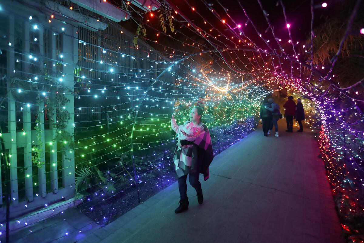 Maria Kho walks through the tunnel of lights with her little baby at Sherman Library & Gardens.