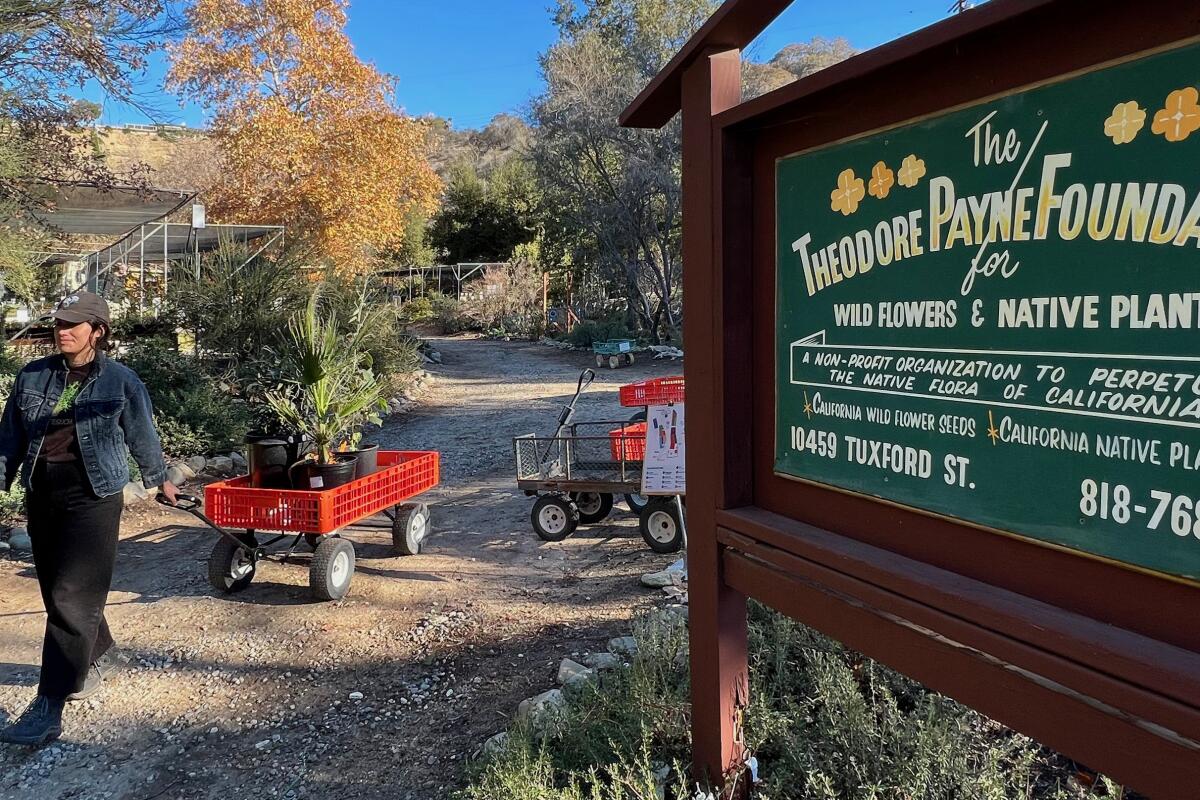 A person pulls a red cart full of green plants past a sign for the Theodore Payne Foundation.