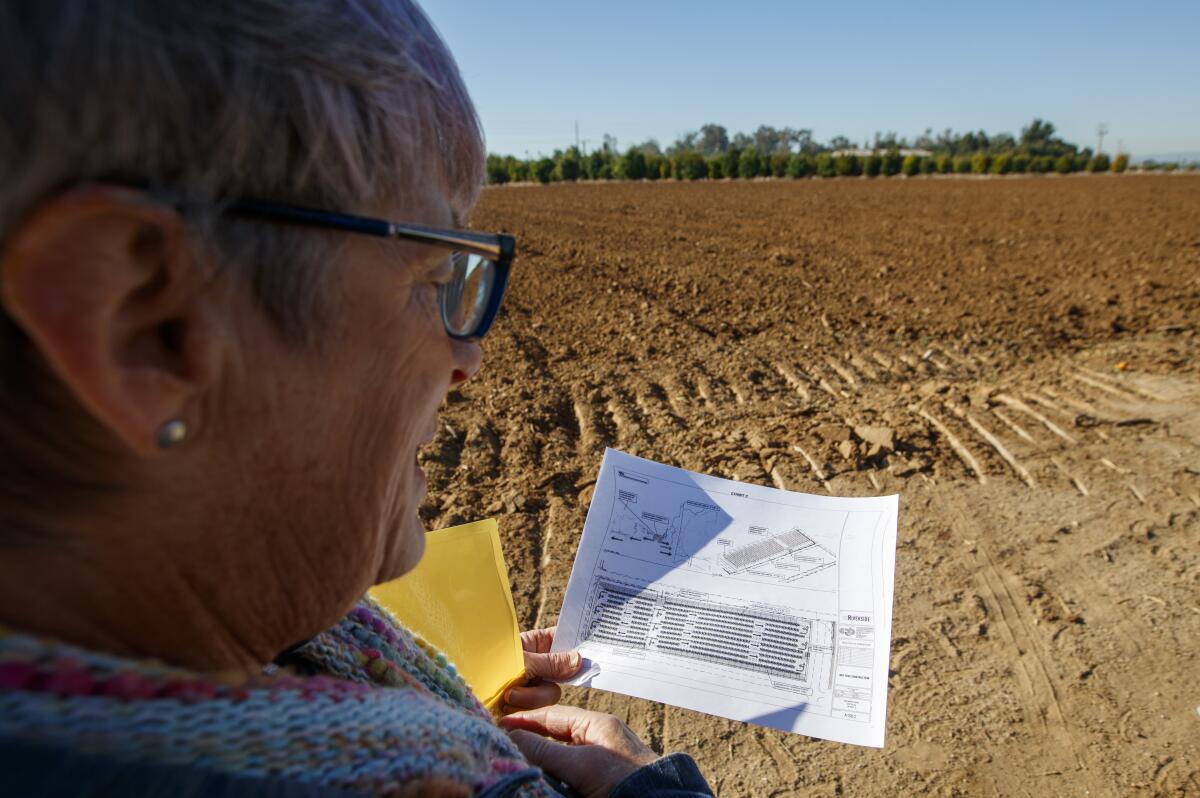 Tracy Kahn looks over a plan to build a 3-acre netted structure to protect trees at UC Riverside's Givaudan Citrus Variety Collection. Construction is scheduled for this spring.