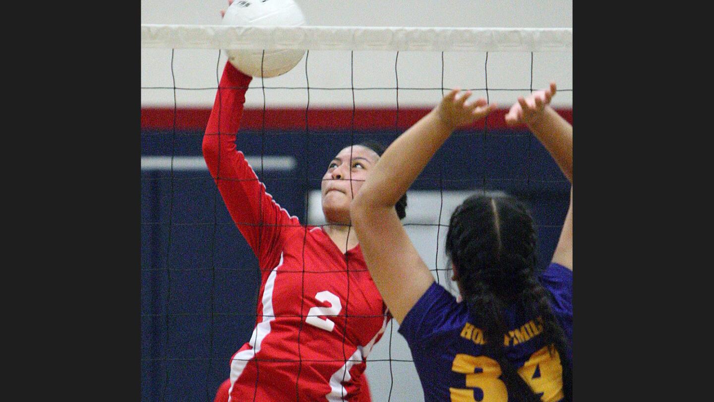 Photo Gallery: Holy Family vs. Bell-Jeff girls' volleyball