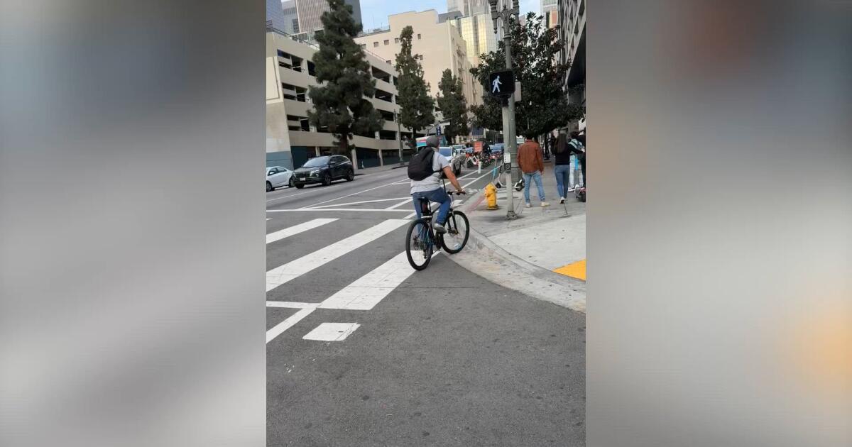 Woman arrested in theft of French bulldog in downtown L.A.