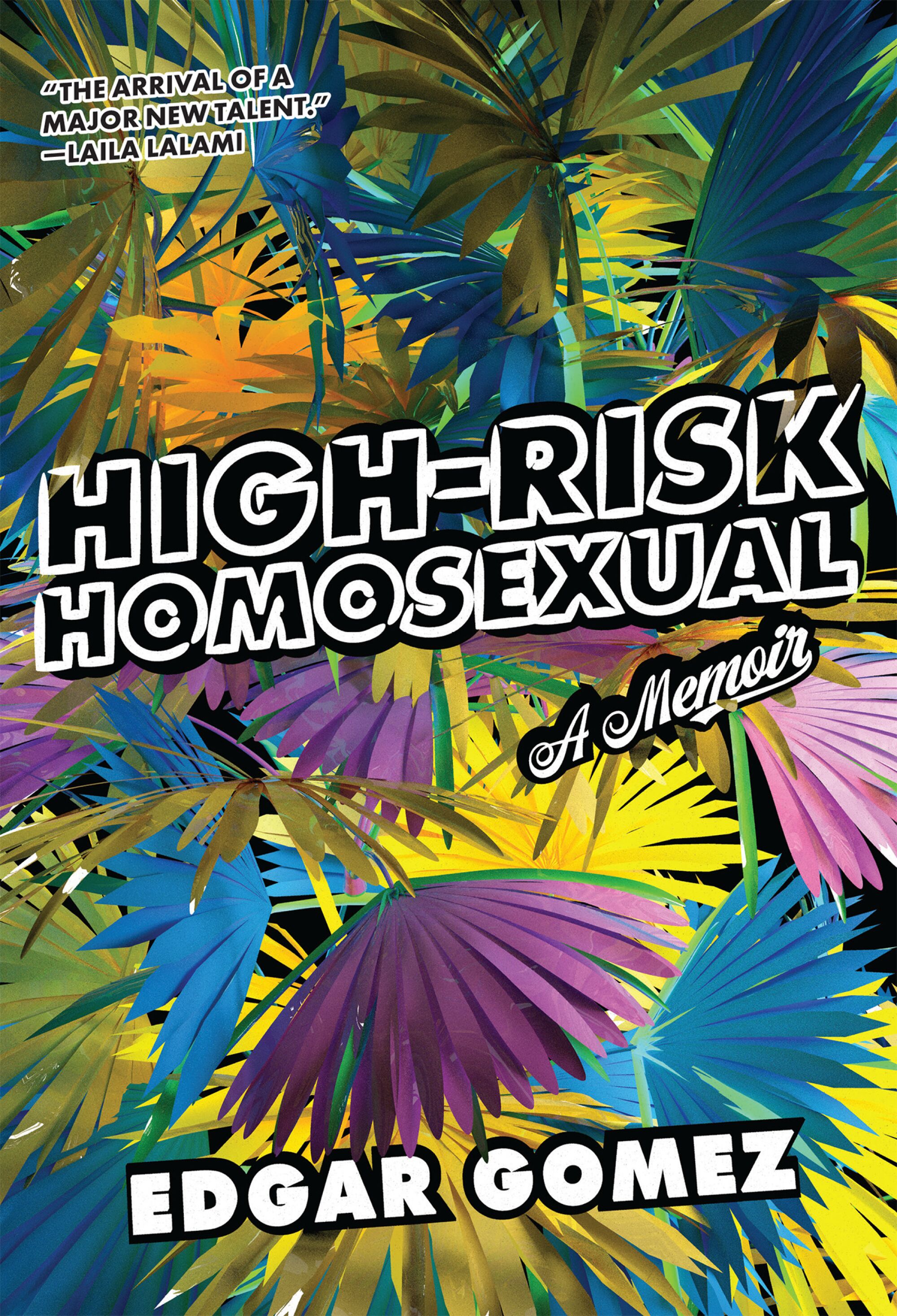 "High-Risk Homosexual" by Edgar Gomez