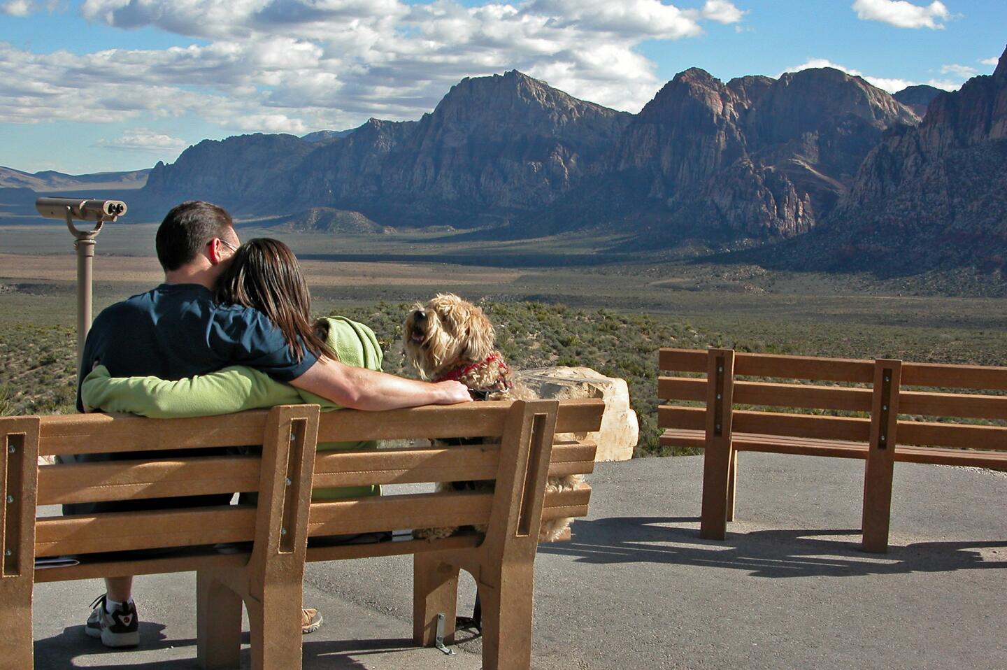 Darby makes some friends at the Red Rock Canyon National Conservation Area near Las Vegas.