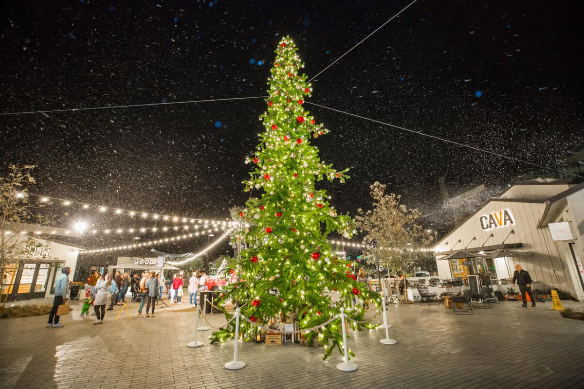 Snow is in the forecast for One Paseo