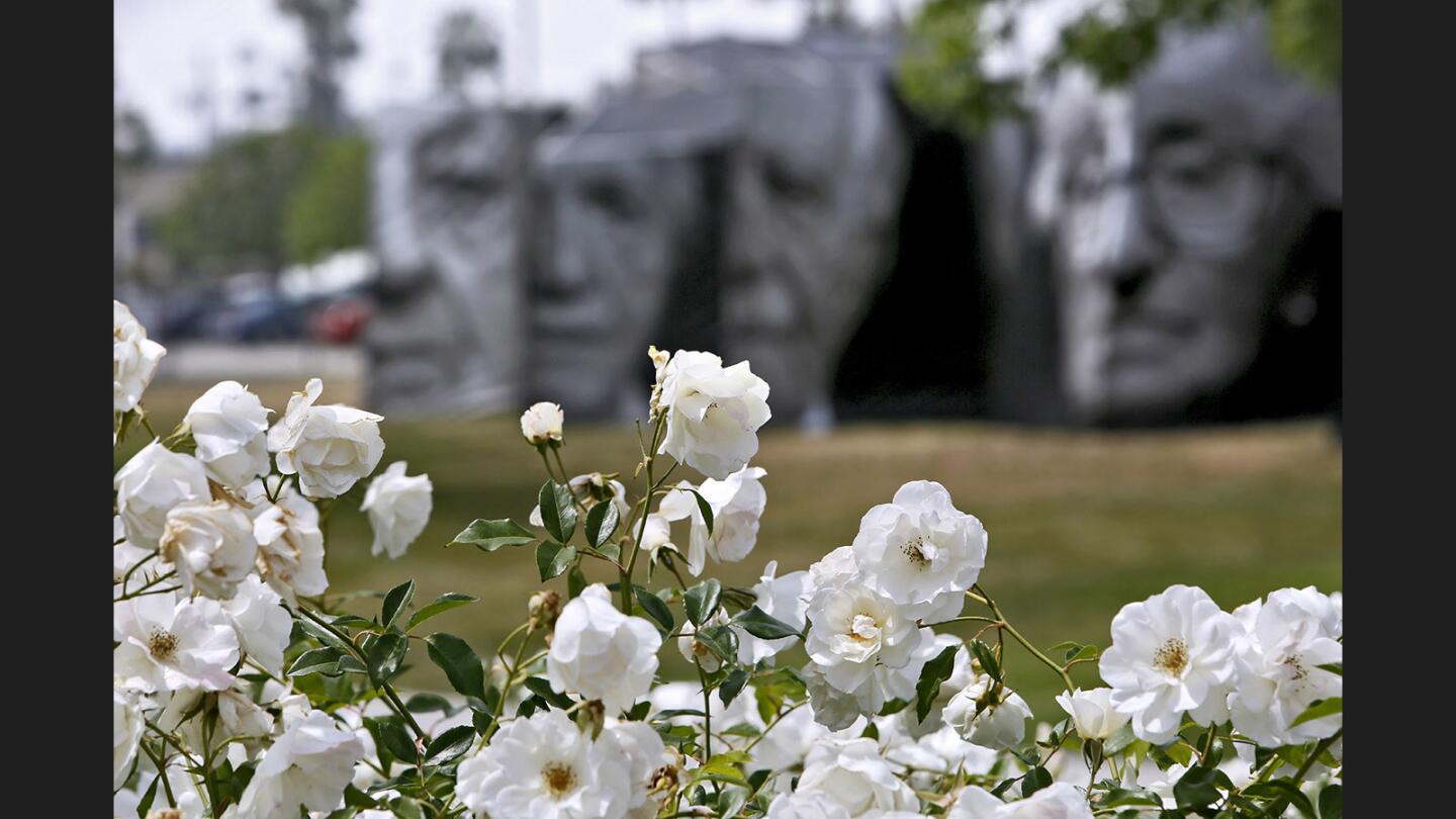 Photo Gallery: iwitness Armenian Genocide survivors' portraits installation at Central Park in Glendale