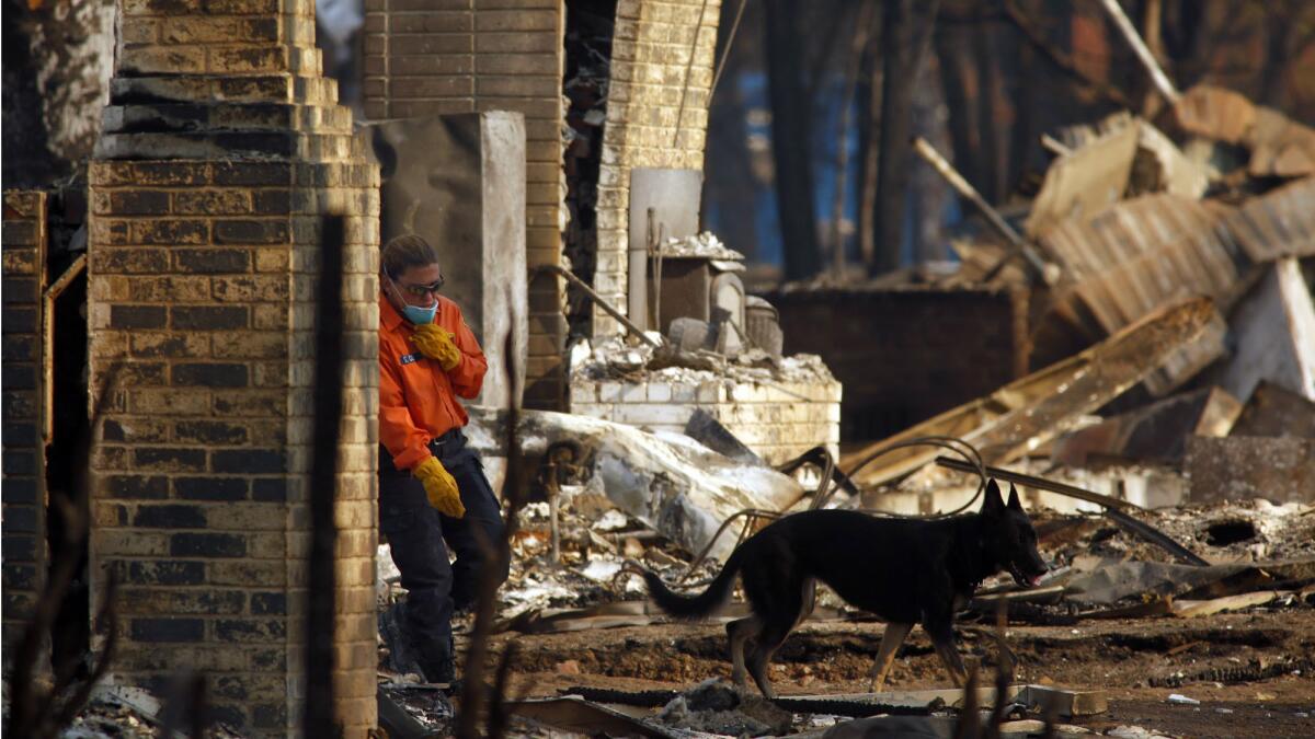 A member of a search and rescue crew follows a cadaver dog as he searches for a possible victim of the wildfires.