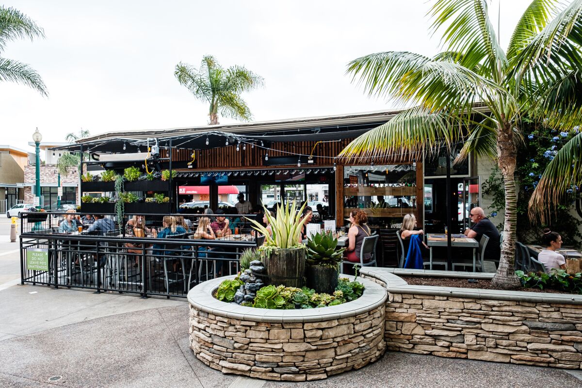 The Bier Garden of Encinitas' back patio, which features palm trees, succulent trays and a full bar.