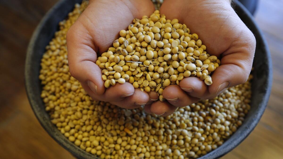 American farmers have stockpiled a mountain of soybeans during the U.S.-China trade dispute. Inventories are set to reach a record 25.99 million tons, according to the USDA.