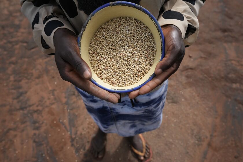Maria Chagwena, a millet farmer, holds a plate with millet grains outside her house in Zimbabwe's arid Rushinga district, northeast of the capital Harare, on Wednesday, Jan, 18, 2023. With concerns about war, drought and the environment raising new worries about food supplies, the U.N.'s Food and Agricultural Organization has christened 2023 as the “Year of Millets” — grains that have been cultivated in all corners of the globe for millennia but have been largely pushed aside. (AP Photo/Tsvangirayi Mukwazhi)