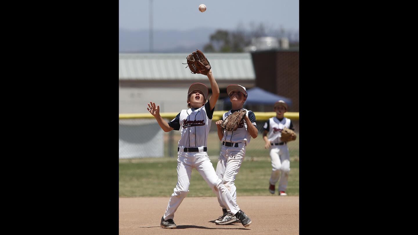 Photo Gallery: Newport Harbor Baseball Assn. 9-and-under team