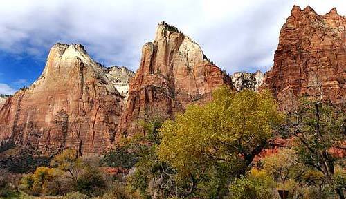 Weeping rock