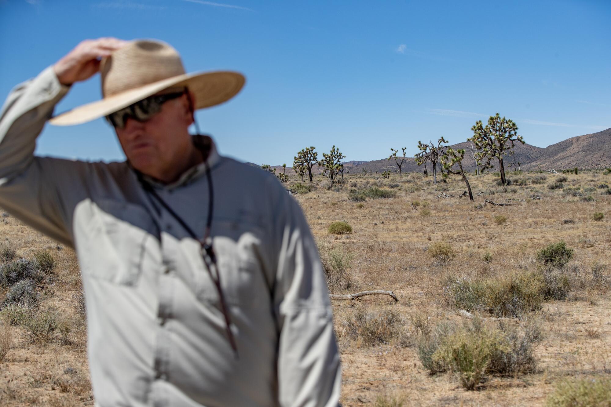 Desert Ecologist Jim Cornett leaves his Joshua Tree study site where there used to be 38 healthy trees.