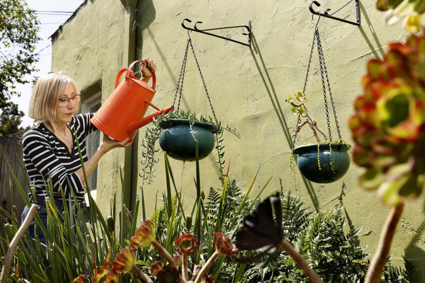 SANTA MONICA-CA-MAY 26, 2022: Environmentalist Zan Dubin-Scott is photographed at home in Santa Monica on Thursday, May 26, 2022. Dubin-Scott has started placing a watering can in her shower to capture the water as it heats up, then uses it to water her potted plants. (Christina House / Los Angeles Times)