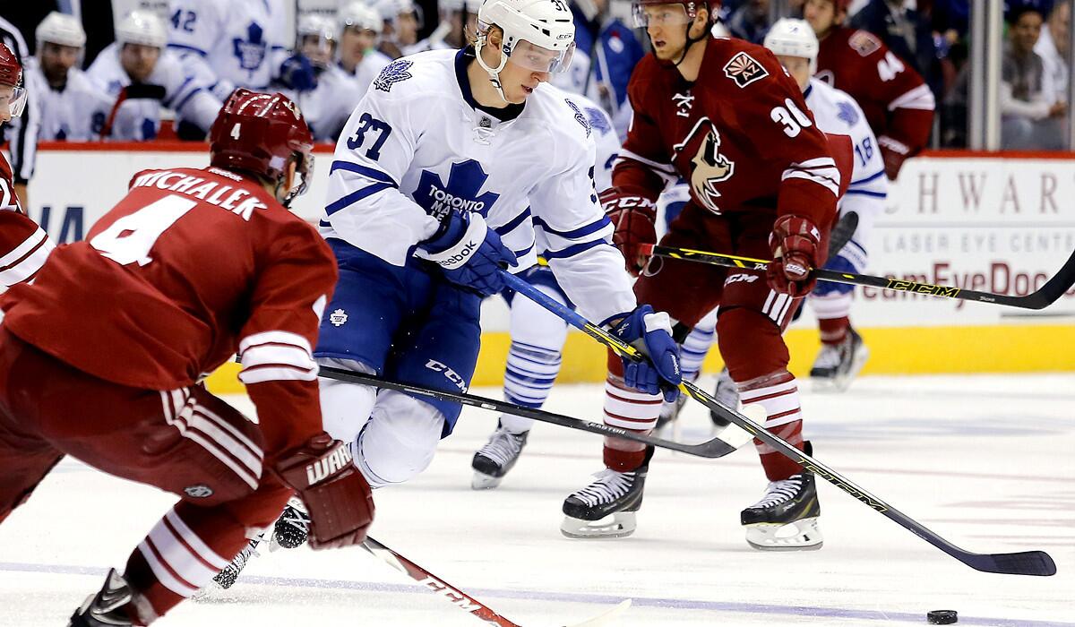 Maple Leafs right wing Carter Ashton (37) is on the attack against the Phoenix Coyotes during a game Nov. 4.