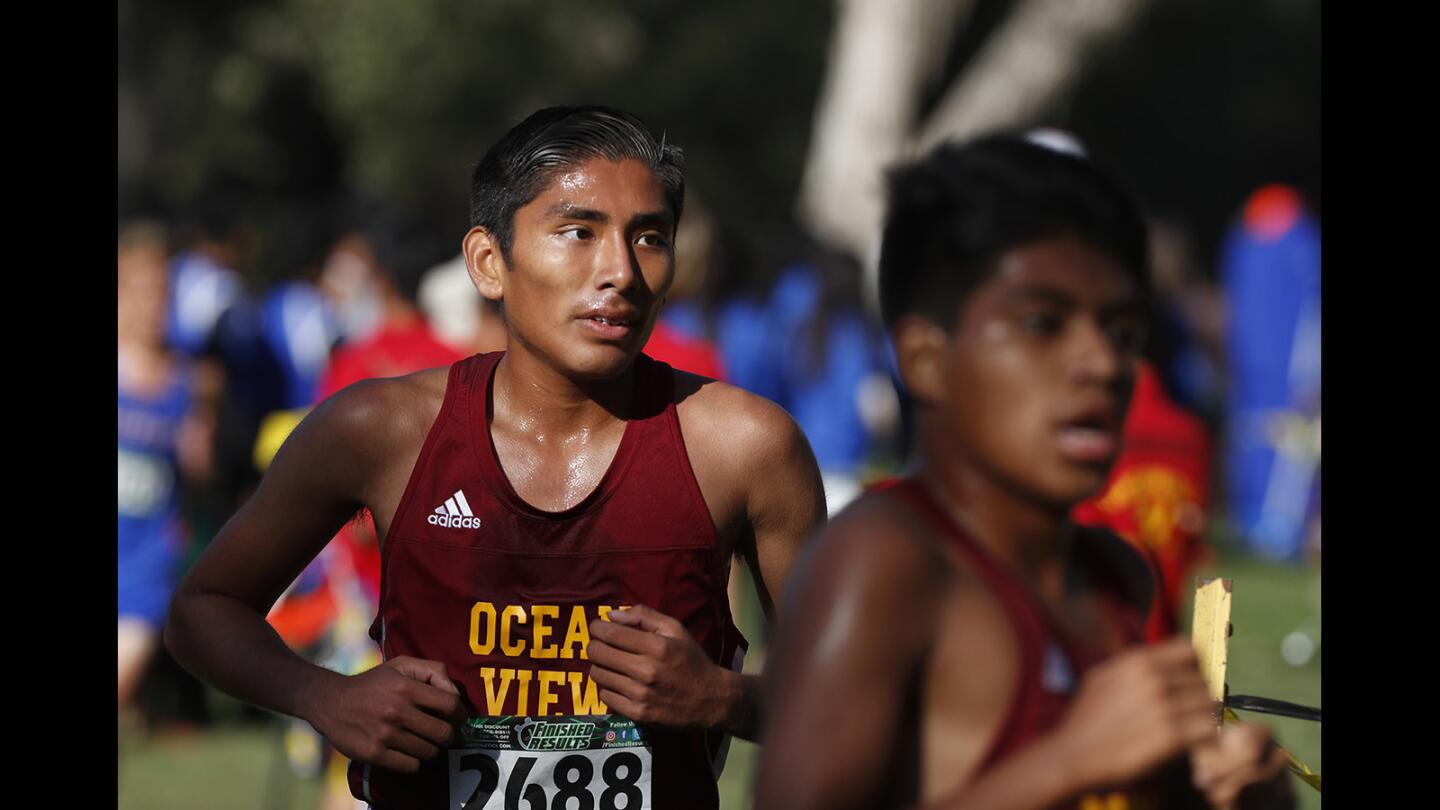 OC Cross Country Championships Bring the Best