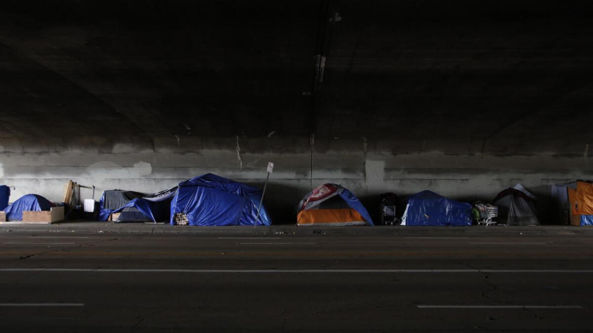 Un campamento de tiendas de campaña debajo de un puente de la Autopista 101 cerca de Echo Park. ()