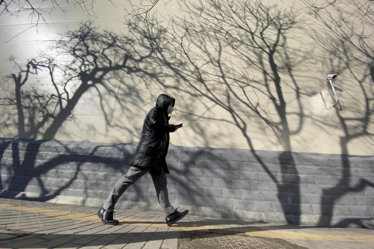 A resident walks past shadows cast by trees on a sunny day in Beijing on Tuesday. 