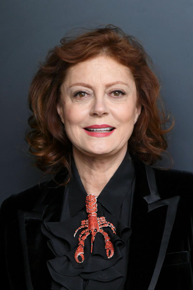 NEW YORK, NEW YORK - DECEMBER 19: Actress Susan Sarandon attends the Saint Laurent Presents "Belle De Jour" 50th Anniversary Screening at Museum of Modern Art on December 19, 2018 in New York City. (Photo by Mike Coppola/Getty Images)