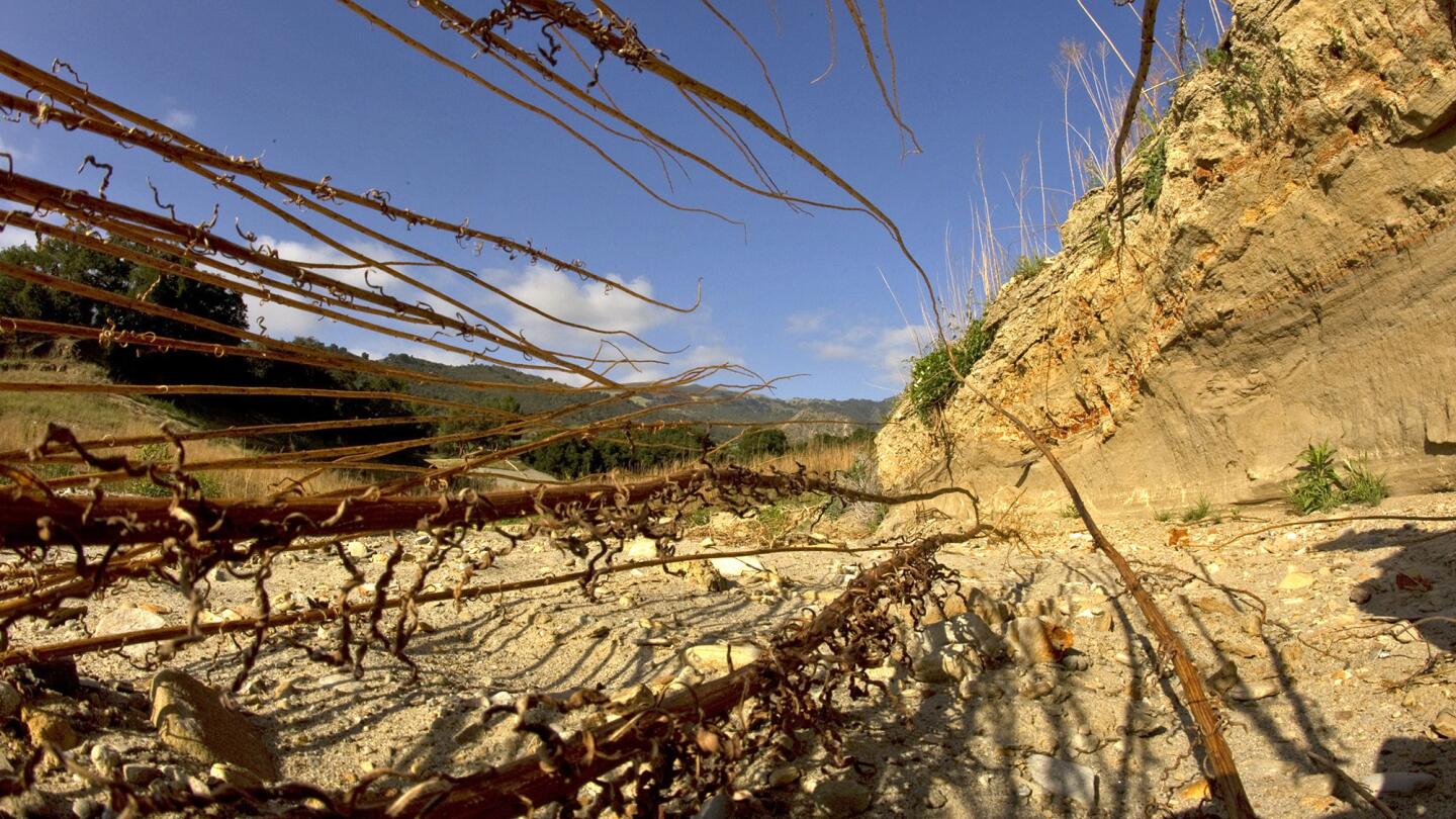 On Assignment: Focusing on the effects of California's persistent drought