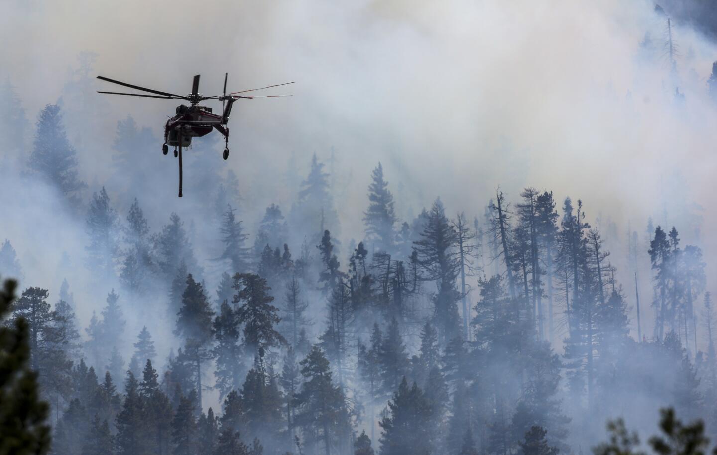 Lake fire in the San Bernardino National Forest