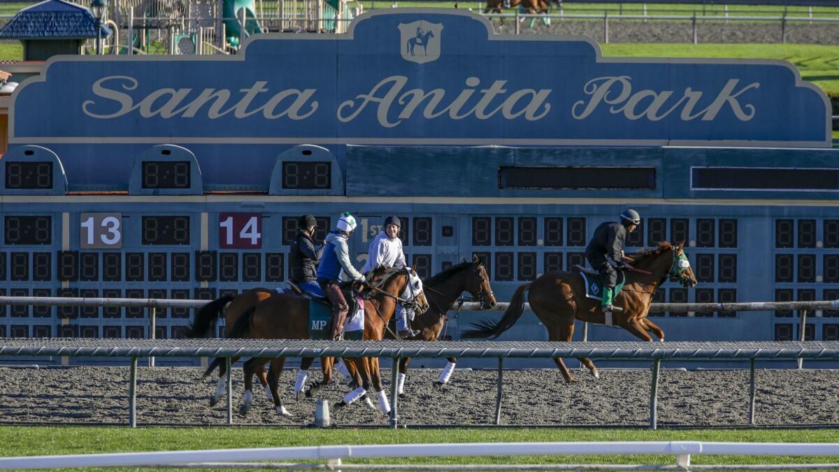 Riders on training track at Santa Anita Park in Arcadia. The track was shut down for racing since last Tuesday after 21 horses died since late December.