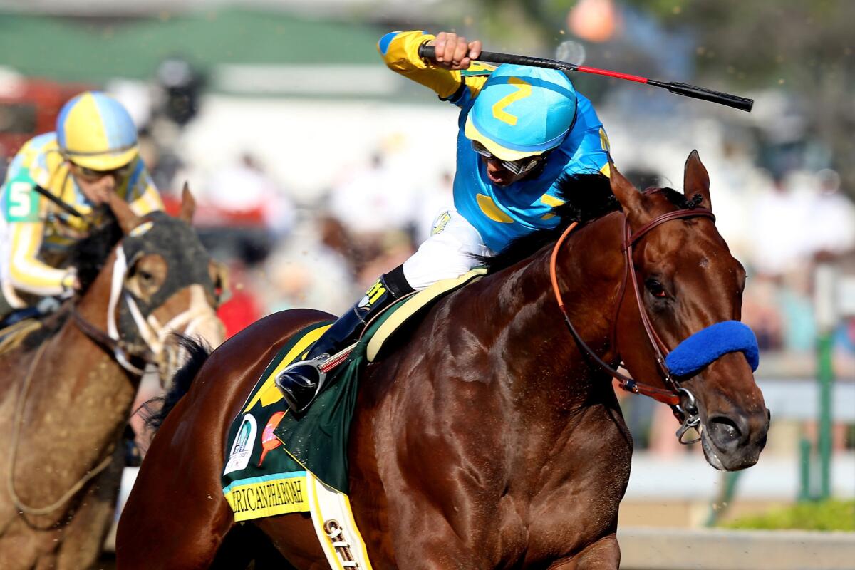 Jockey Victor Espinoza asks American Pharoah to charge out of the final turn during the 141st Kentucky Derby.