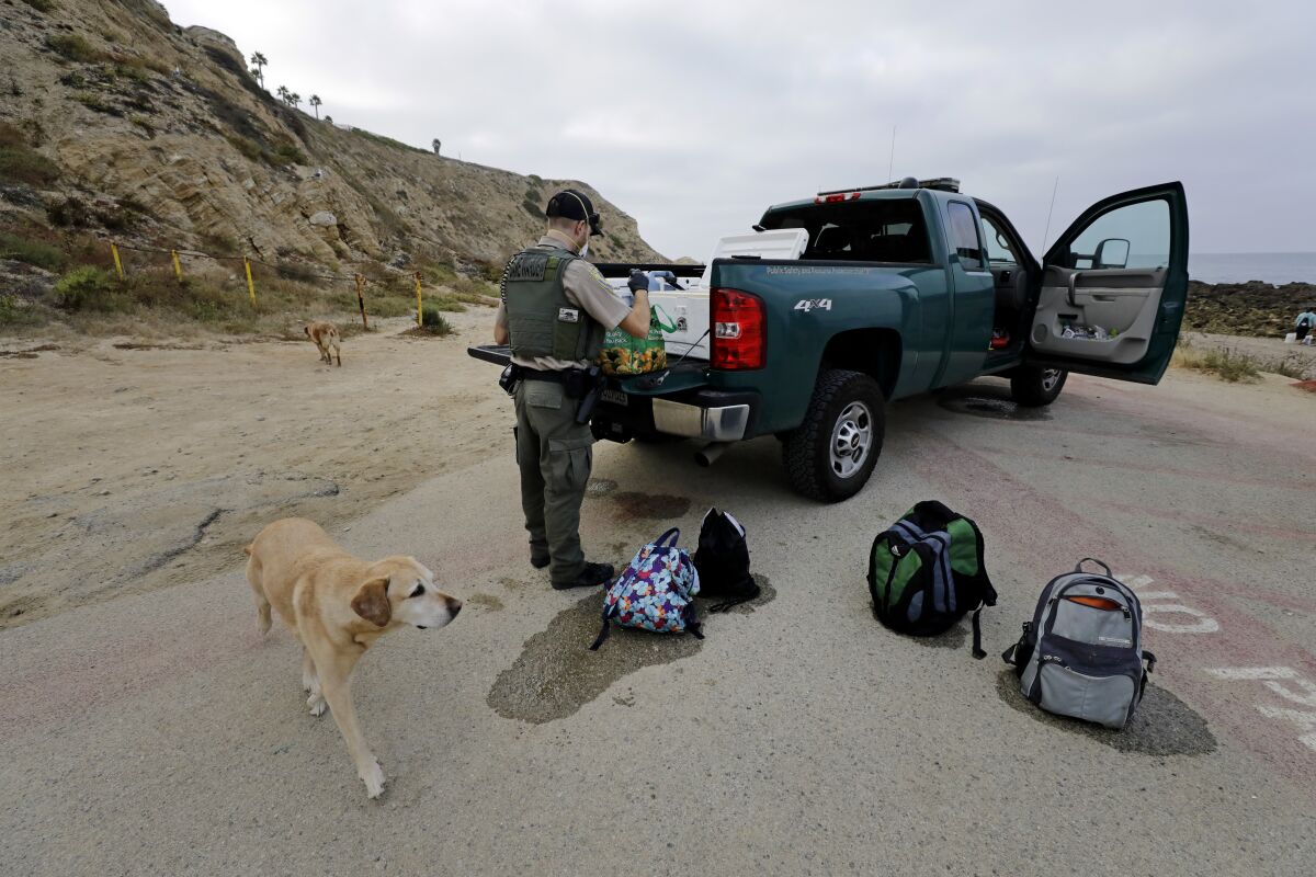 Game warden Doug Wall confiscates bags of mussels collected without a license at White Point Beach in San Pedro.