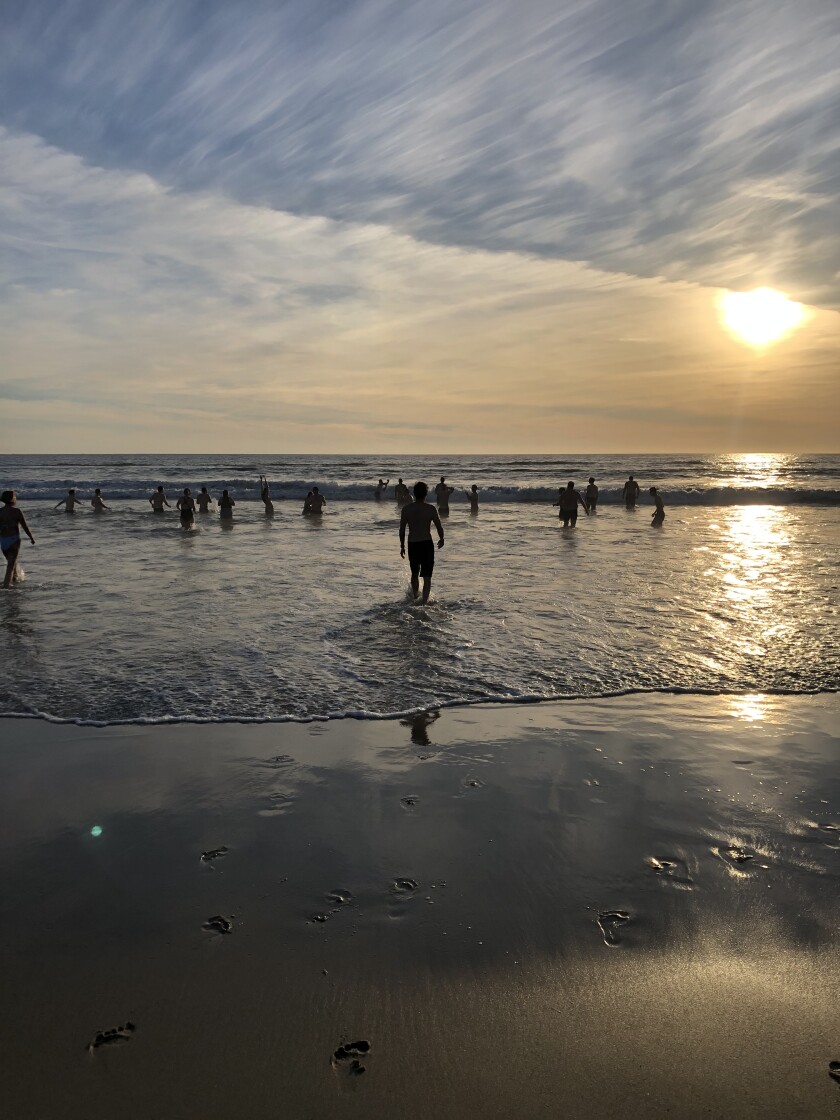 The ultimate new year cleanse: a polar bear plunge