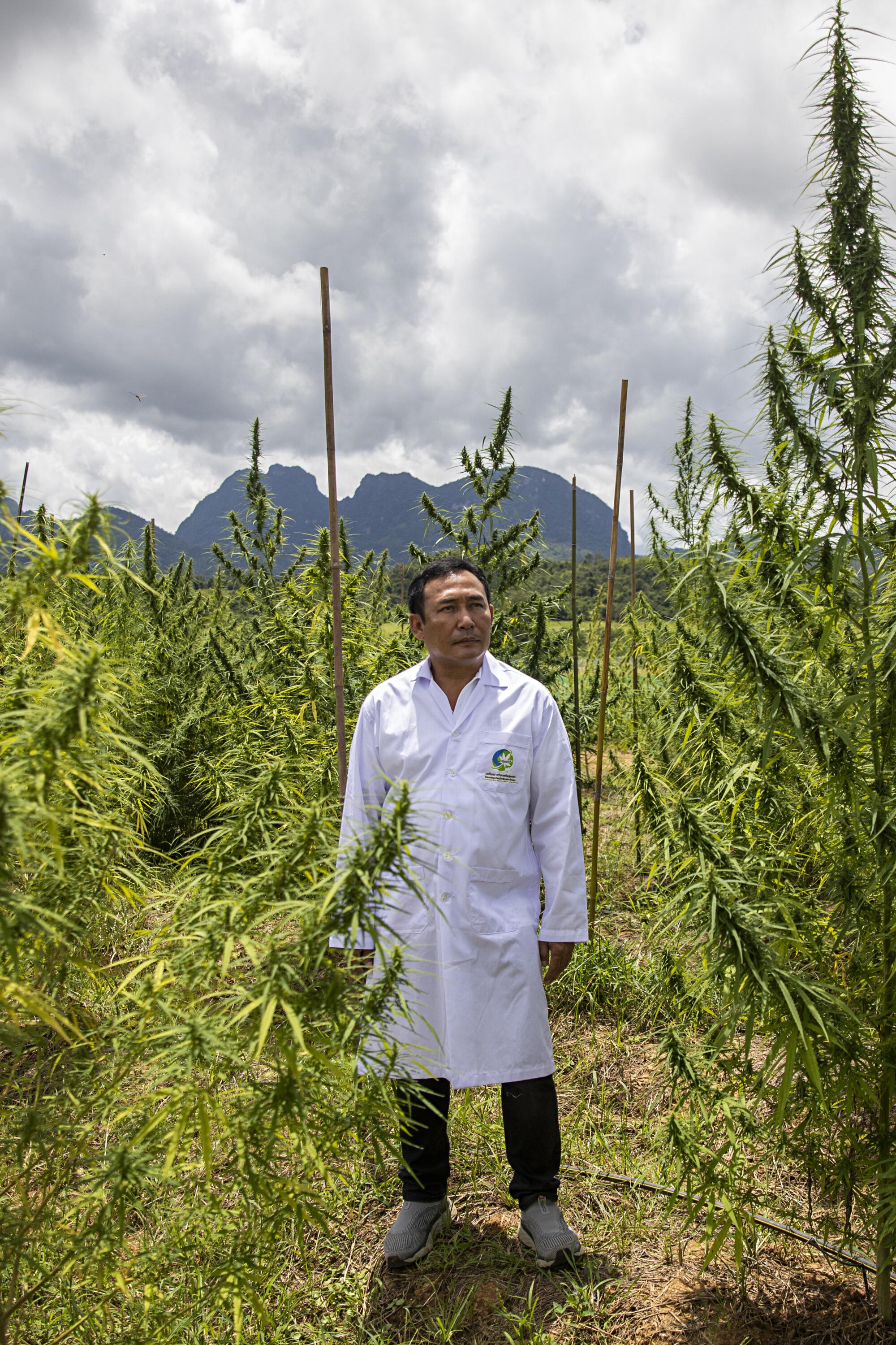 A man in a white lab coat standing outdoors in a field of tall weed plants with mountains in the background