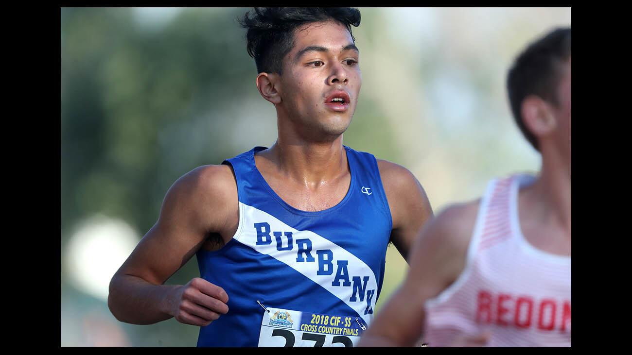 Photo Gallery: Local participate in CIF SS cross country finals