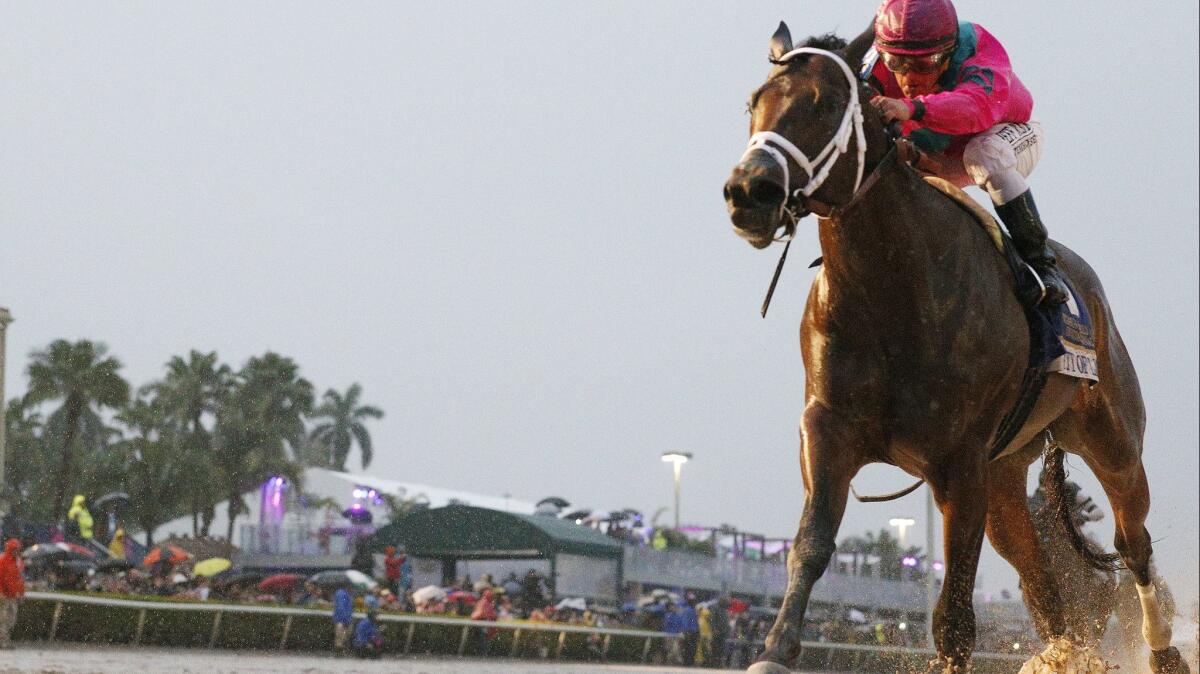 City Of Light, ridden by Javier Castellano, crosses the finish line to win the Pegasus World Cup Championship at Gulfstream Park on Saturday in Hallandale, Fla.