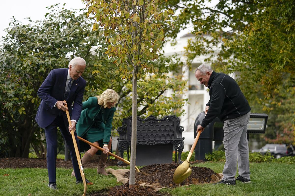 Three people shovel soil to plant a tree.