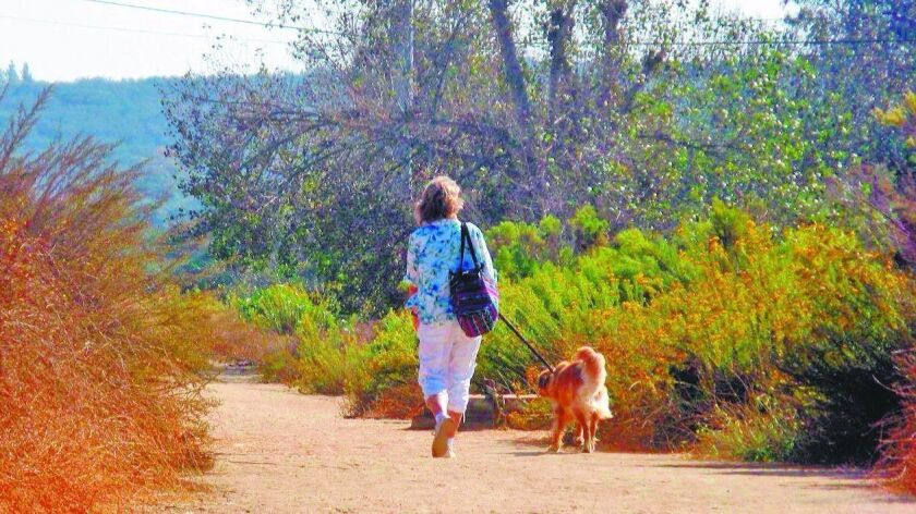 Dogs To Be Allowed Off Leash All Day At South Buena Vista Park